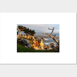 Carmel California coastal view Posters and Art